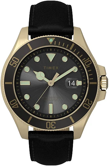 Timex Harborside Coast 43mm Leather Strap TW2V42200