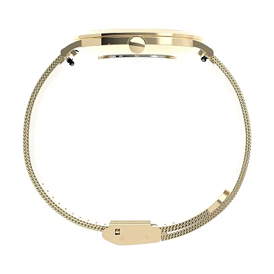 Timex Originals 38mm Stainless Steel Mesh Band TW2U67100