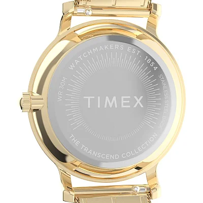 Timex Transcend 34mm Mesh Band TW2Y10300