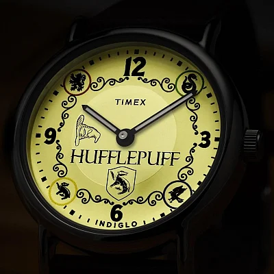 Timex Weekender x Harry Potter 40mm Leather Strap Silver Tone Case TW2Y76600