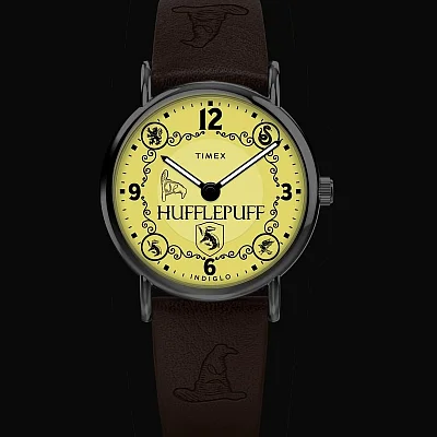 Timex Weekender x Harry Potter 40mm Leather Strap Silver Tone Case TW2Y76600