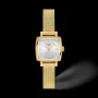 Zdjęcie 7 Tissot Lovely Square Mesh Silver Dial Yellow Gold PVD T058.109.33.031.00