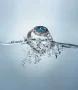  Zdjęcie 3 Tissot Seastar 1000 Powermatic 40mm Blue Lagoon Dial Steel Bracelet T120.807.11.091.00