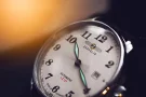  Zdjęcie 10 Zeppelin LZ127 Count Zeppelin Automatic ZE-7656-5