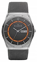 Skagen Melbye Gent Titanium Mesh SKW6007