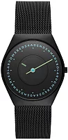 Skagen Grenen Gent Solar Mesh SKW6874