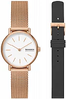 Skagen Signatur Lady Mesh Set SKW1153SET