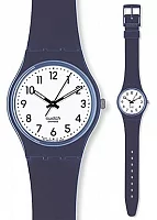 Swatch Colour Codes Frozen Breeze GN231