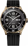 Ball Roadmaster Archangel Bronze 42mm COSC Chronometer DM3070B-P1CJ-BK
