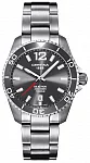 DS Action Titanium
