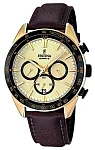 Festina Timeless Chronograph F16845/1