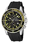 Festina Timeless Chronograph F16561/4