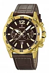 Festina Timeless Chronograph F16880/2