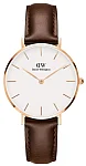 Daniel Wellington Classic Petite Bristol Rose Gold DW00100171
