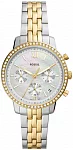 Neutra Chrono Lady