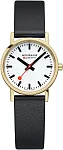 SBB Classic Lady