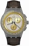 Chrono GOLDEN RADIANCE