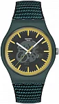 Swatch New Gent Biosourced PERFECTLY GREEN PAY SO29G112-6000