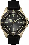 Harborside Coast 43mm Leather Strap
