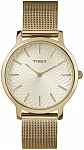 Transcend 34mm Mesh Band
