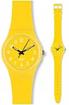 Colour Codes Lemon Time