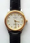 Atlantic Seahunter Lady 30350.43.25