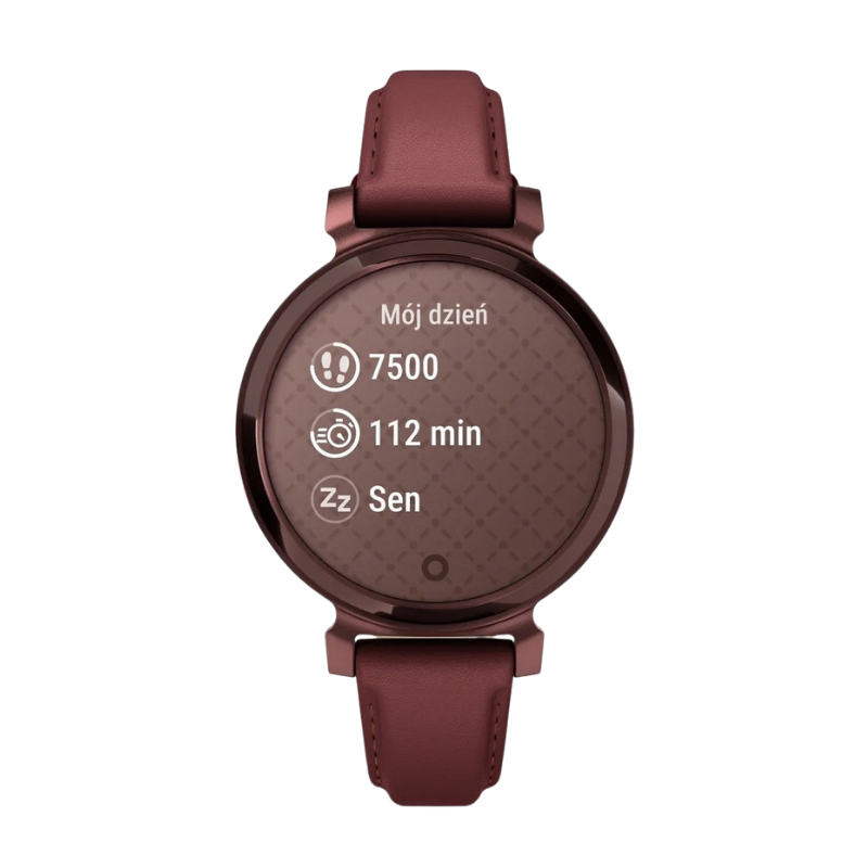 Garmin Lily 2 Classic