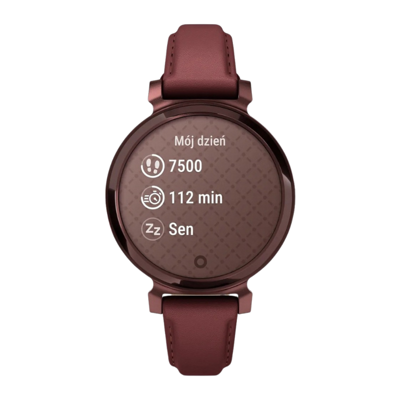 Garmin Lily 2