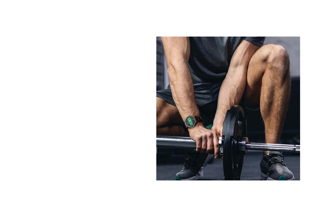 Amazfti T-Rex